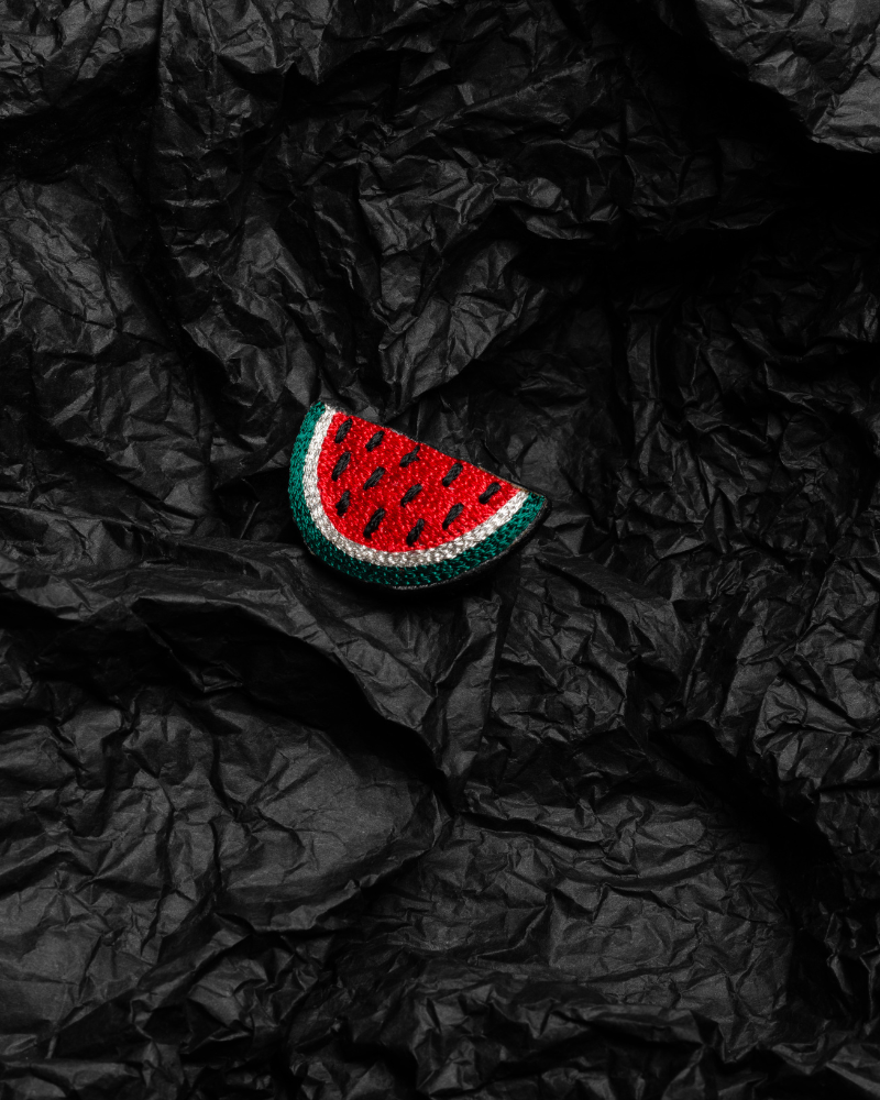 Embroidery watermelon Brooch