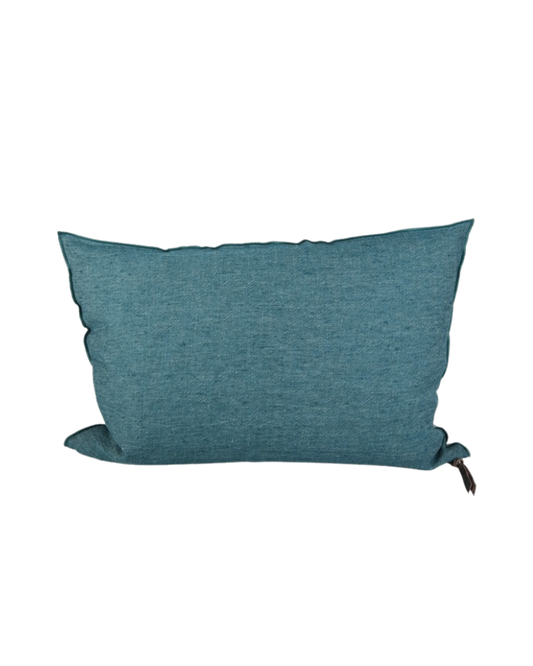 Cushion Vice Versa: Canard / Givre 40x60