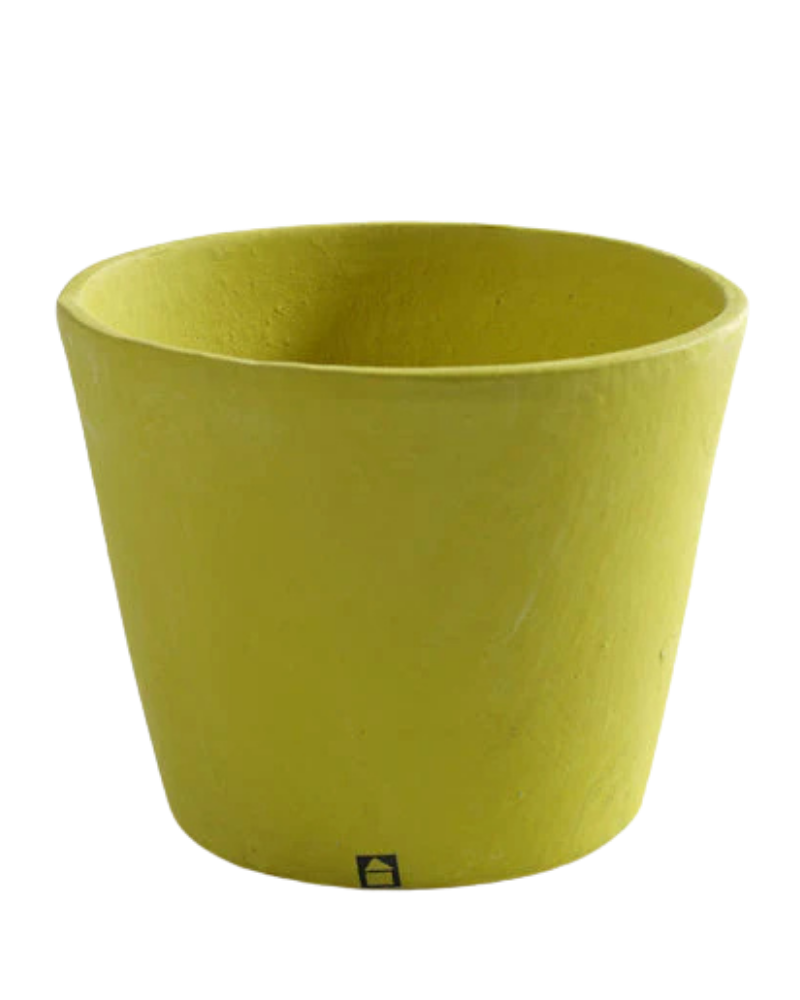 Pot Container XS - Lime