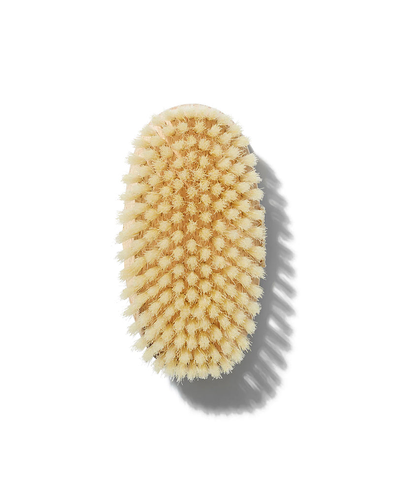 Anti-Cellulite Body Brush - Medium